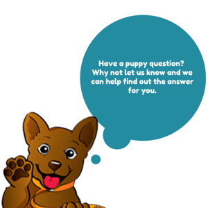 Need Some Extra Puppy Care Help?