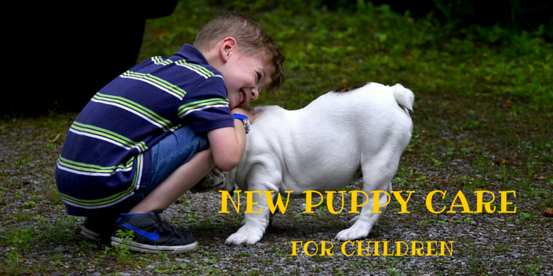 NEW PUPPY CARE for children