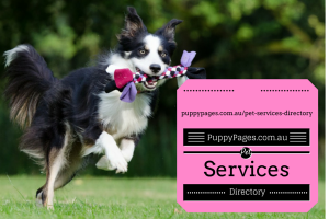 Pet services directory