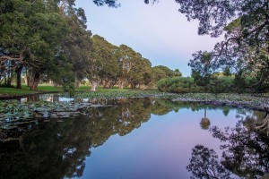 centennial-park-sydney