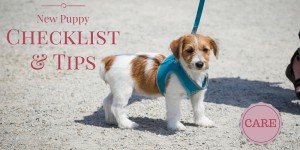 New Puppy Checklist and Tips
