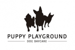 Puppy Play Ground