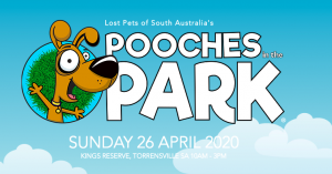 Pooches-in-the-park-event