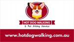 HOT Dog Walking