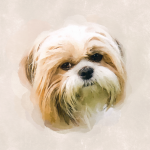 Digital Pet Portrait