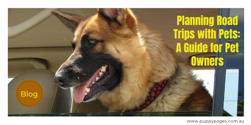 Planning-Road-Trips-with-Pets-A-Guide-for-Pet-Owners-puppypages